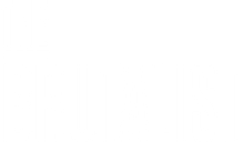 The Brutalist