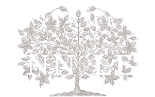 The Testament of Ann Lee