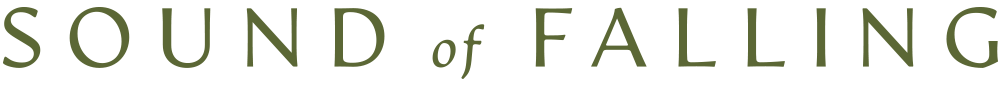 SoundOfFalling_FilmLogo_1000x85