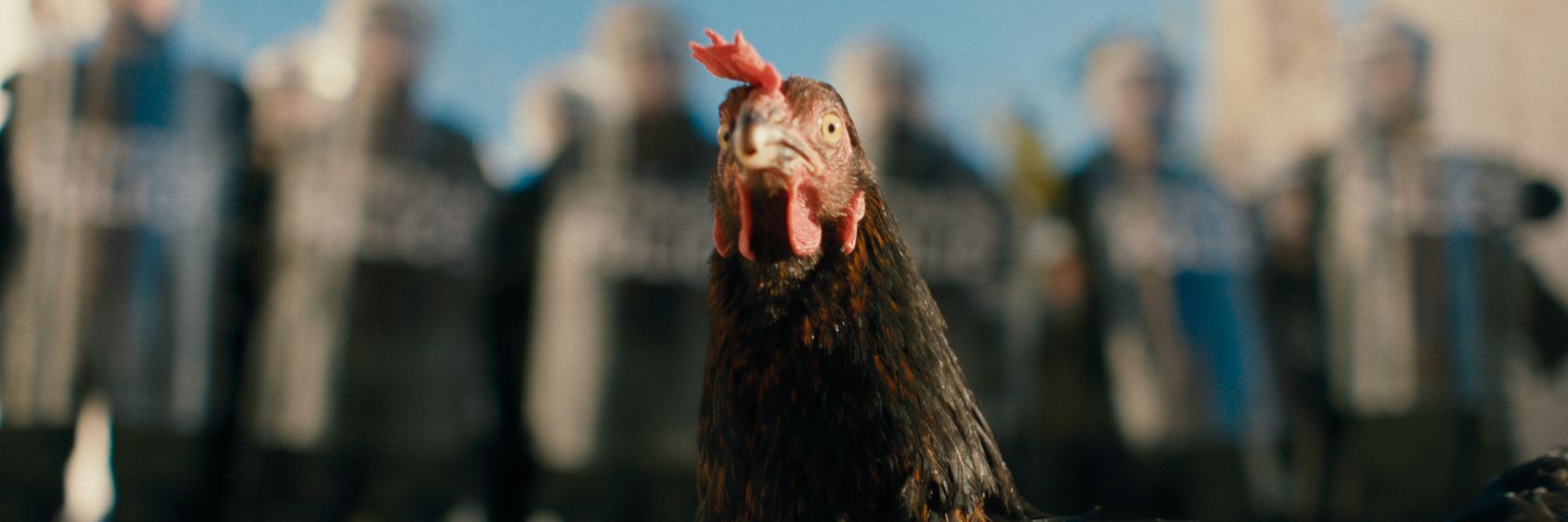 Hen