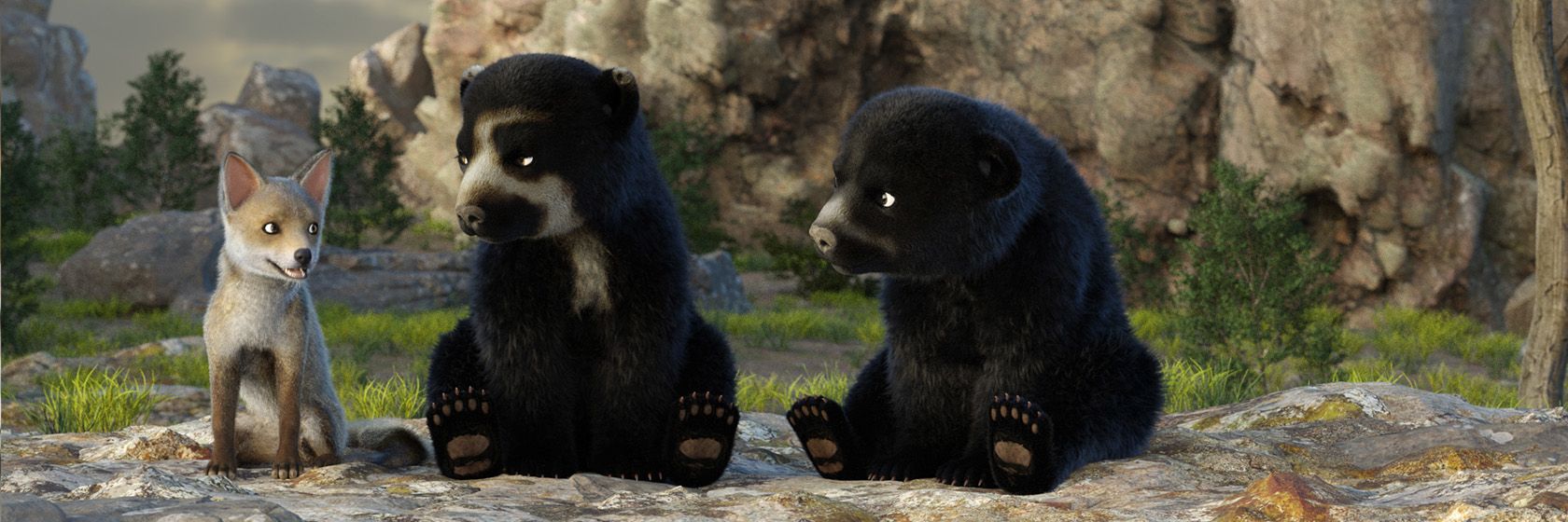 Little_Wonder_Bear_1680x560.jpg