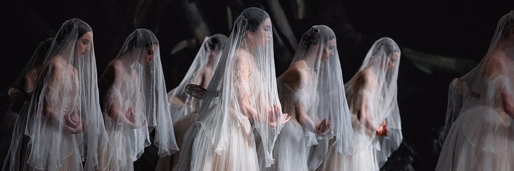 giselle_1680x560.jpg