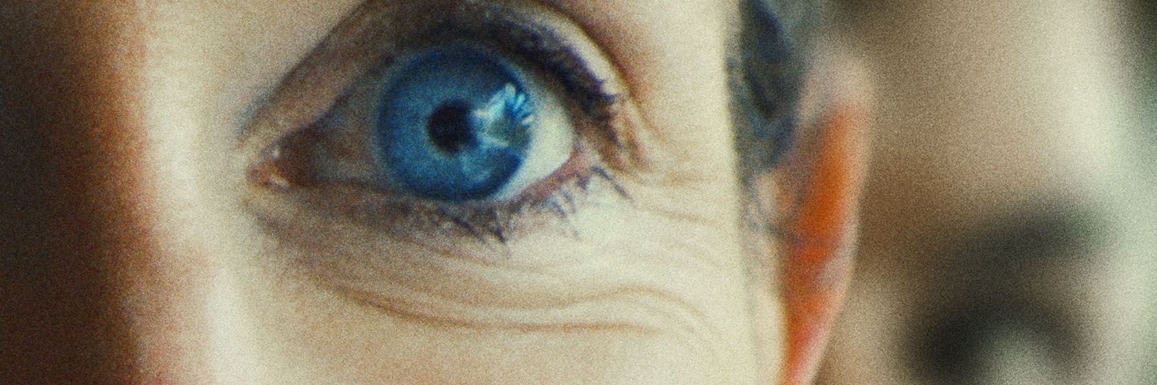 You Can See Everything